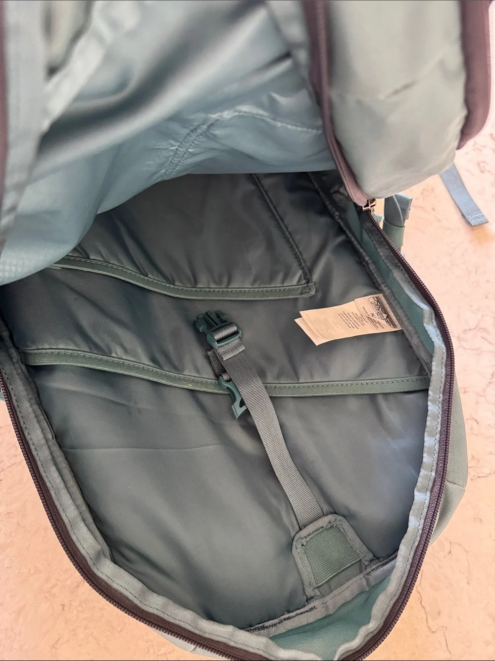Patagonia sturdy backpack